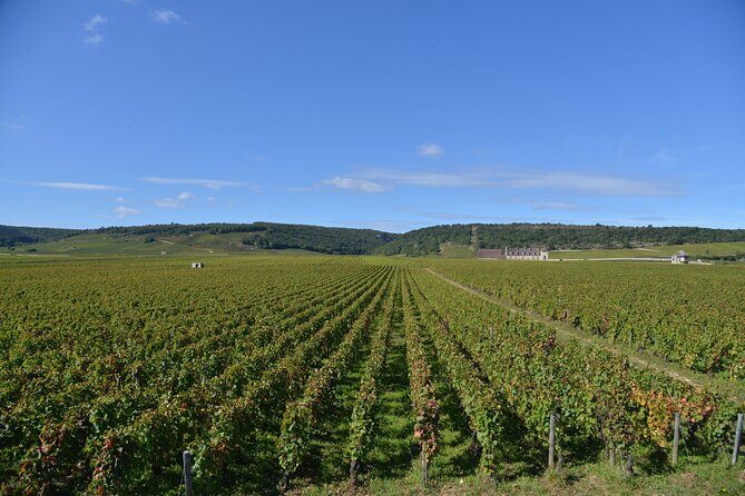 Private Full Day Tour Burgundy Gourmet - Who Would Enjoy This Tour?