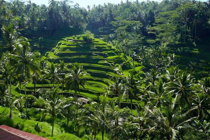 Private Full-Day Tour: Explore The Villages Of Ubud Bali - Exploring Ubud’s Villages: A Full-Day Bali Experience Worth Considering
