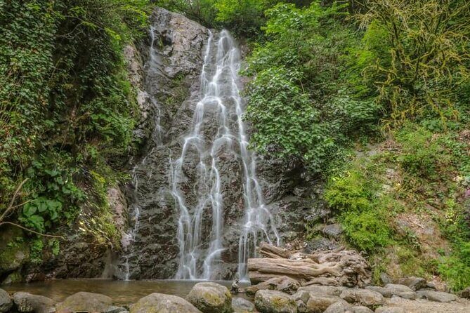 Private Full Day Tour from Batumi to Waterfalls - FAQ