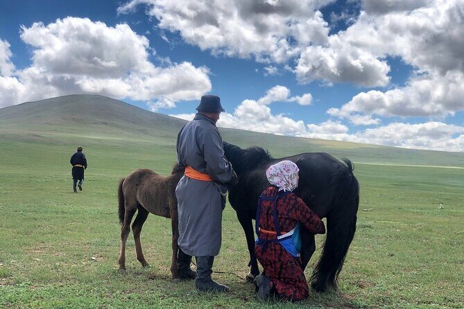 Private Full Day Tour in Khustain Nuruu National Park - FAQ