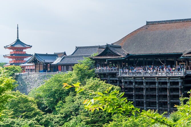 Private Full Day Tour in Kyoto with a Local Travel Companion - Why This Tour Offers Strong Value