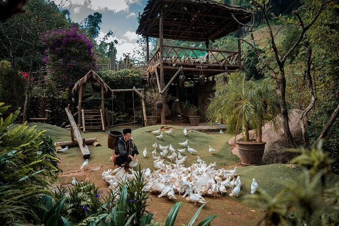 Private Full Day Tour in Sapa by Car - Step-by-Step: What to Expect at Each Stop