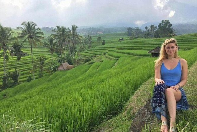 Private Full-Day Tour Jatiluwih Rice Terrace and Tanah Lot Temple - A Deep Dive into the Tour Experience