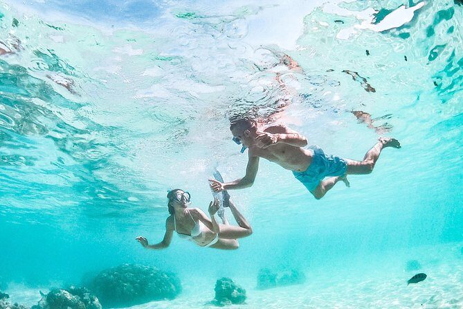 PRIVATE Full Day Tour : Moorea Snorkeling & Sailing on a Catamaran named Taboo - Final Thoughts