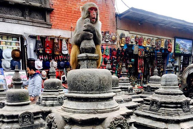 Private Full-Day Tour of Buddhist Temples in Kathmandu - The Tour Experience: Step by Step