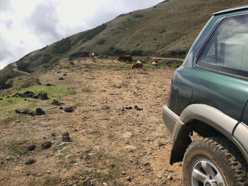 Private Full-Day Tour of North Coast and Laurissilva Forest - Key Points