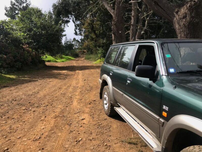 Private Full-Day Tour of North Coast and Laurissilva Forest - Practical Details to Keep in Mind