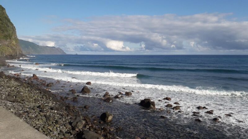 Private Full-Day Tour of North Coast and Laurissilva Forest - Who Will Love This Tour?