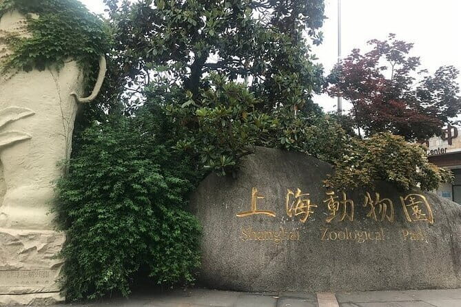 Private Full-Day Tour of Shanghai with Hotel Pick Up - An Overview of the Tour Experience