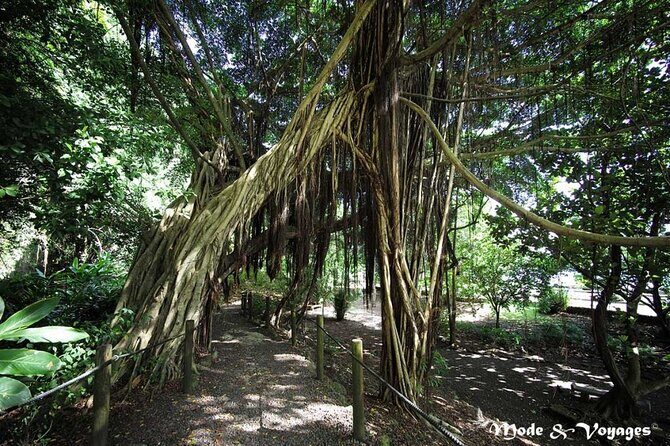 Private Full Day Tour of Tahiti - Final Thoughts