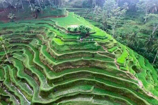 Private Full-Day Tour of Ubud - Final Thoughts: Is This Tour Worth It?