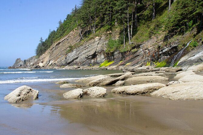 Private Full Day Tour Oregon Coast - Practical Details and Value