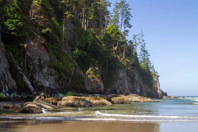 Private Full Day Tour Oregon Coast - Who Should Consider This Tour?