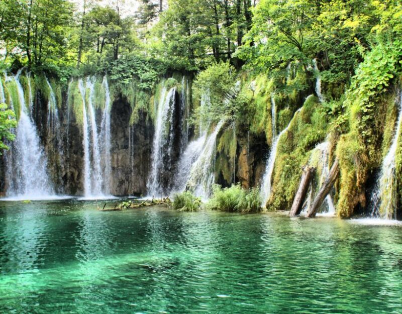 Private Full - Day Tour: Plitvice Lakes from Dubrovnik - Key Points