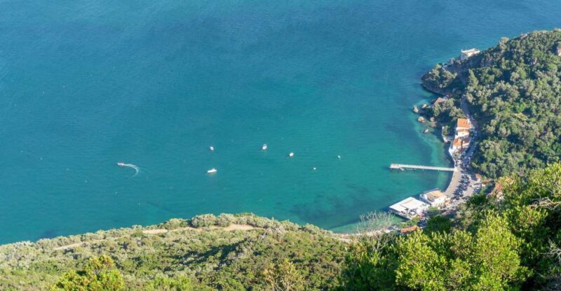 Private Full Day Tour Setubal - Key Points