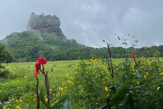 Private Full Day Tour Sigiriya and Dambulla From Kandy - Who Should Consider This Tour?