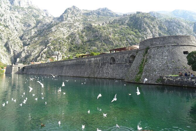 Private Full-Day Tour - Skadar Lake National Park, Saint Stefan and Kotor Tour - Who Will Love This Tour?
