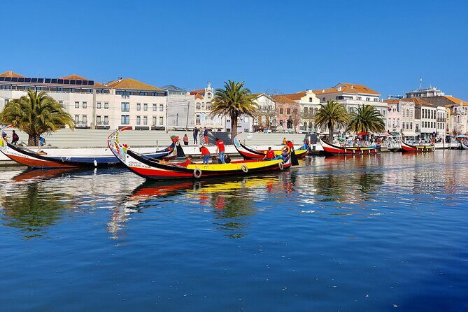 Private Full day Tour to Aveiro and Porto - Journey Through Portugal’s Northern Charm