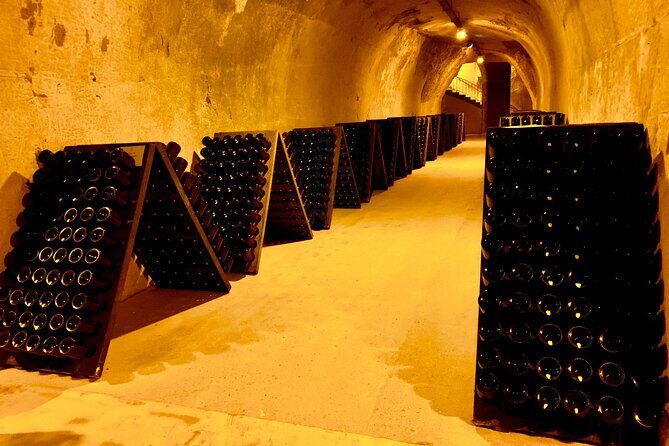 Private Full Day Tour to Champagne from Paris, Visit of 2 Champagne Producers - FAQ