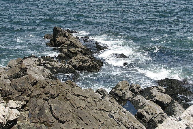 Private Full Day Tour to Coastal Maine from Boston with Hotel pick-up - The Experience: What Travelers Can Expect