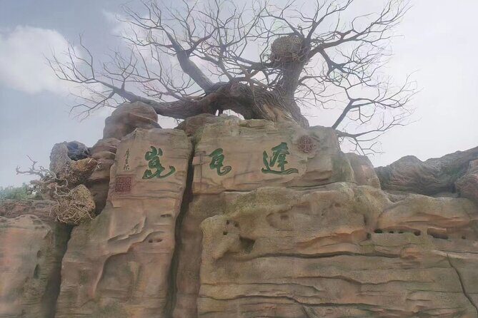 Private Full-Day Tour to Dawakun Desert from Kashgar - The Dawakun Desert: Sand Dunes and Old Trees