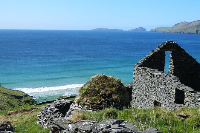 Private Full-Day Tour to Dingle and Slea Head - What Makes This Tour Stand Out?