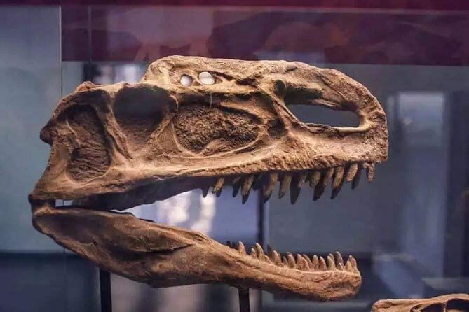 Private Full-Day Tour to Fuxian Lake and Chengjiang Fossil Site - Exploring Fuxian Lake: A Natural Wonder