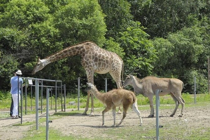 Private Full Day Tour to Harbin Beifang Forest Zoo and Optional Seafood Dinner - Who Would Enjoy This Tour?