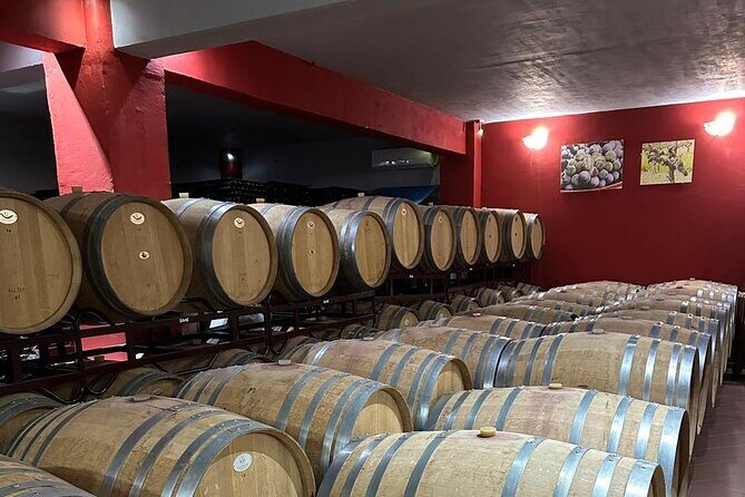 Private Full Day Tour to Nemea Wineries from Attica - The Sum Up