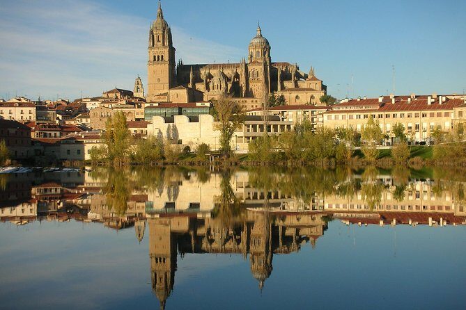 Private Full day Tour to Salamanca from Madrid with hotel pick up and drop off - An In-Depth Look at the Salamanca Day Trip