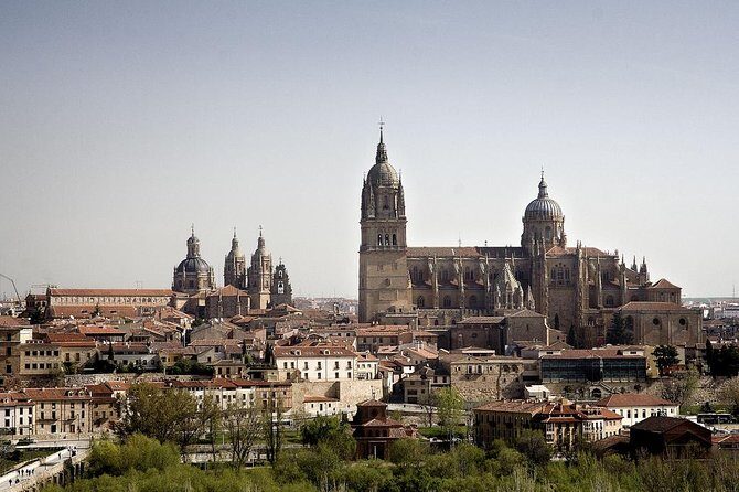 Private Full day Tour to Salamanca from Madrid with hotel pick up and drop off - Itinerary Breakdown: What You’ll See and Do