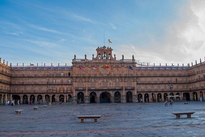 Private Full day Tour to Salamanca from Madrid with hotel pick up and drop off - Who Is This Tour Best For?
