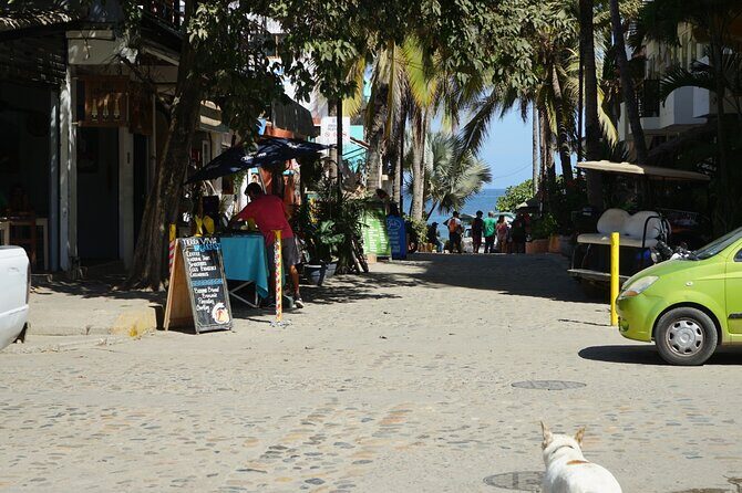 Private Full Day Tour to Sayulita - The Sum Up