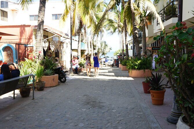 Private Full Day Tour to Sayulita - FAQ