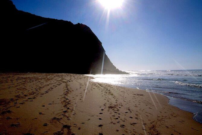 Private Full-Day Tour to Sintra and Cascais - Exploring the Itinerary: What to Expect at Each Stop