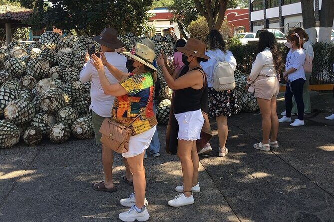 Private Full-Day Tour to Tequila Pueblo Magico - Who Should Consider This Tour?