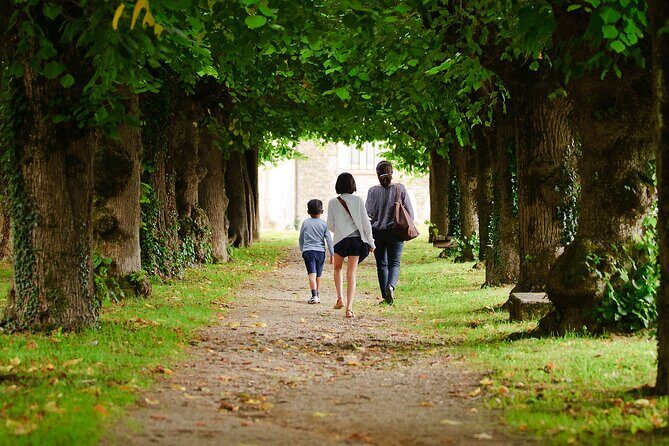 Private Full Day Tour Unesco - An In-Depth Look at the Burgundy Full-Day Tour