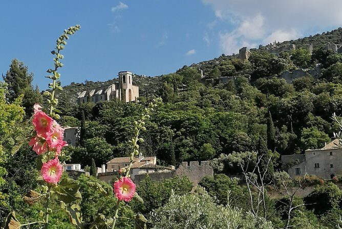 Private Full Day Tour Villages of the Luberon from Avignon - Practical Aspects and Tips