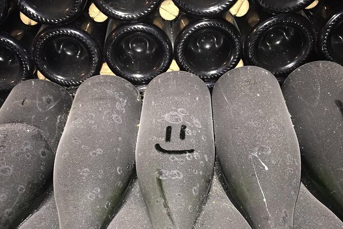 Private Full Day Tour - Visit of 3 Champagne Growers from Reims. - Practical Details and Tips