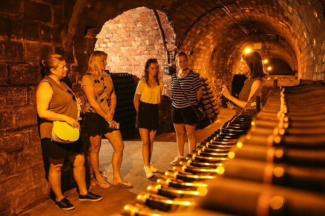 Private Full Day Tour - Visit of 3 Champagne Growers from Reims. - Authentic Reviews and Insights