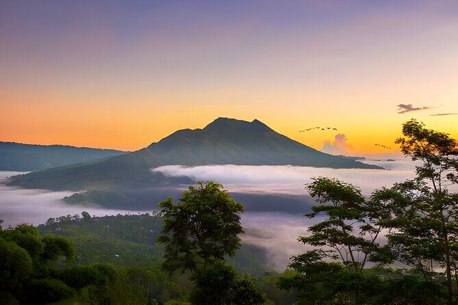 Private Full-Day Tour: Waterfall, Temple, Volcano, Rice Terrace & Monkey Forest - A Complete Look at the Itinerary