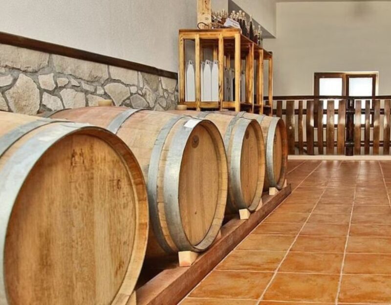 Private Full - Day Tour: Wine Tasting Tour to Peljesac - Why This Tour Works Well