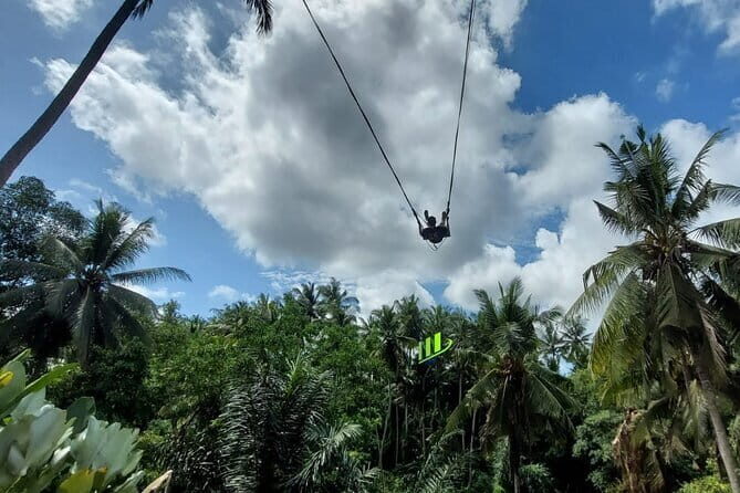 Private Full-Day Tour with Bali Swing and Water Rafting in Ubud - A Detailed Look at the Tour Experience