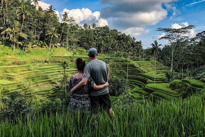 Private Full Day Tour with Ubud and Kintamani Highlights - What to Expect From the Tour