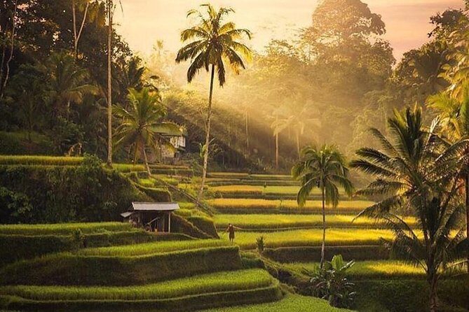 Private Full Day Tour with Ubud and Kintamani Highlights - FAQ