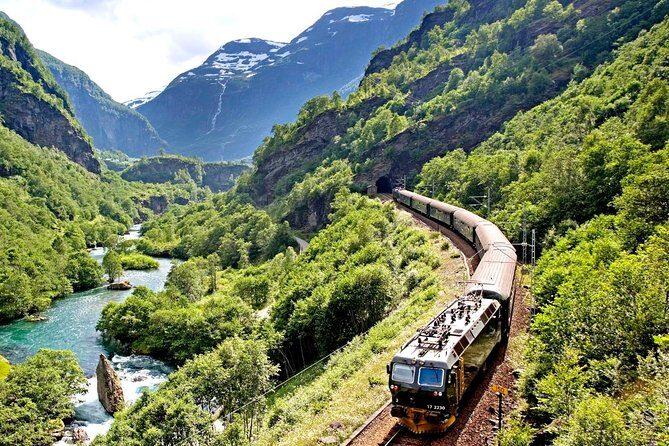 Private Full Day Trip From Oslo To Bergen with Sognefjord And Flam Railway - Key Points