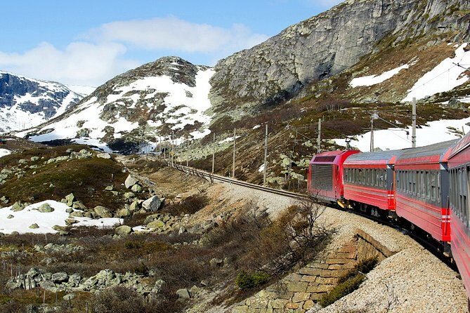 Private Full Day Trip From Oslo To Bergen with Sognefjord And Flam Railway - The Practical Side: What’s Included and What To Consider