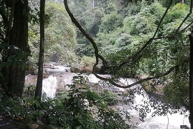 Private Full-Day Trip to Doiinthanon National Park - Why This Tour Offers Great Value