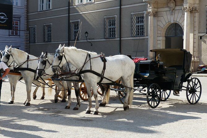 Private full day trip to Salzburg from Vienna - driver only - An In-Depth Look at the Salzburg Private Day Trip
