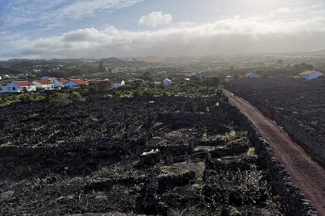 Private full day visit to Pico, a first impression - A Deep Dive into the Experience